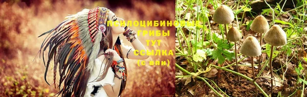 jwh Алексеевка