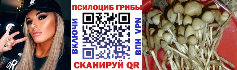 закладка  Цимлянск  Галлюциногенные грибы ЛСД 